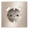 Накладка для розетки с заземлением и защитными шторками с USB A+C S70 Metal платина