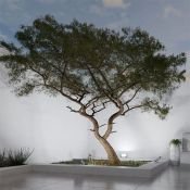 прожектор Белый 300W 05-51 6500K 220-240V IP65 серый Apeyron