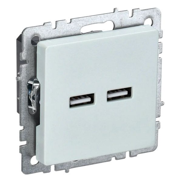 Розетка встраиваемая USB IEK BRITE A+A 3,1А BR-U21-D31-K36 РЮ10-1-БрЖ жемчуг