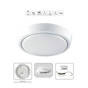 Накладной светильник  20W Белый холодный  Estares DLR- 20W 220V IP44 круглый белый