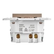 Штепсельная розетка встраиваемая IEK SKANDY 16А SK-R14-16-U14-018-K98 SK-R17Sa с з/к и шторками с USB A+C 18Вт песочный