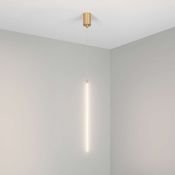 Подвесной светильник  10W Белый дневной 036951 SP-UMBRA-HANG-V-L600 220V IP20 фигурный светлое золото