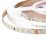 Светодиодная лента Белый теплый 2835 24V 10W/m 128Led/метр PTN-A128-2835-10-IP20-WW-24V