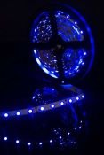 Светодиодная лента Синий 2835/3528 12V  4.8W/m 60Led/метр 00-00009469 SWG360-12-4.8-B-M