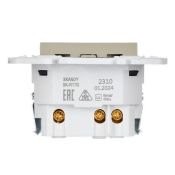Штепсельная розетка встраиваемая IEK SKANDY 16А SK-R14-16-U14-018-K10 SK-R17B с з/к и шторками с USB A+C 18Вт бежевый