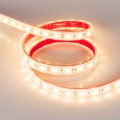 Светодиодная лента Белый теплый 5060 12V 14.4W/m  60Led/метр герм (силикон) 034033 RTW-PFS-B60-13mm