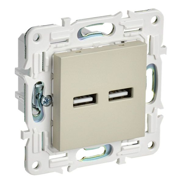 Розетка встраиваемая USB IEK SKANDY A+A 3,1А SK-U21-D31-K10 SK-R15B бежевый