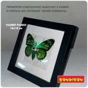 Набор для опытов ВВ5916 BONDIBON &quot;Кибер-бабочка&quot;