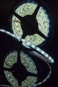 Светодиодная лента Белый 3528 12V  4.8W/m 60Led/метр герм (силикон) 00000000049 SWG360-12-4.8-W-65