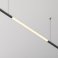 Светильник 13W Белый теплый C148CL-L900-13W3K-B Ларк / Larc Shelf 3000К чёрный