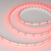 Светодиодная лента RGBW 24V 17.2W/m CSP-X840-12mm RGBW- Белый теплый (CSP, 4200 LED) 046937  LUX