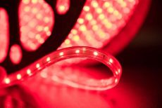 Светодиодная лента Красный 3528 220V  60Led/м герм 00000001106 LT360-R-100 IP68