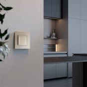 Выключатель встраиваемый двухклавишный с подсветкой сенсорный с Wi-Fi WERKEL W4523011 шампань