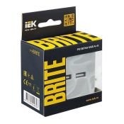 Розетка встраиваемая USB IEK BRITE A+A 3,1А BR-U21-D31-K47 РЮ10-1-БрА алюминий