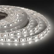 Светодиодная лента  Белый дневной 5050 12V 14.4W/m 60Led/метр герм (силикон) 00-144 Стандарт IP65
