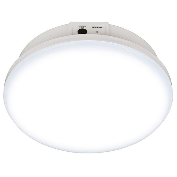 светильник аварийного освещения 12W Белый дневной UL-00013404 ULR-E60-12W-4000K WHITE накладной IP65