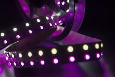 Светодиодная лента MIX 24V 28.8W/m SWG5120-24-28.8-RGBW-M RGB + Белый (5060, 600 LED) 00-00009471
