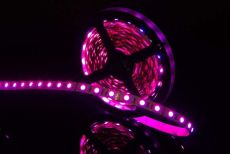 Светодиодная лента RGB 5060 12V 14.4W/m 60Led/метр 00000000018 SWG560-12-14.4-RGB