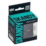 Розетка встраиваемая USB IEK SKANDY A+A 3,1А SK-U21-D31-K02 SK-R15Bl черный