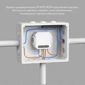 Реле-выключатель DENKIRS RL1001-SM/1 250W одноканальное Wi-Fi