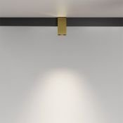 Трековый светильник  7W Белый дневной Альфа/Alfa Exility 50deg TR121-2-7W4K-BS на шинопровод латунь