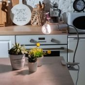 светодиодная фитолампа для растений  А60 10W  UL-00007404 LED-A60-10W-SPFB-E27-CL для рассады и цветения