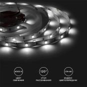 Светодиодная лента Белый дневной 5050 12V  7.2W/m 30Led/метр 00-149 Стандарт 10мм IP20 Светодиодная лента Белый дневной 5050 12V  7.2W/m 30Led/метр 00-149 Стандарт 10мм IP20