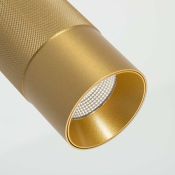 Фигурный светильник  13W Белый дневной 033666 SP-SPICY-HANG-R70 220V IP20 цилиндр подвесной черный
