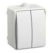Выключатель двухклавишный EVS20-K01-10-54-DC ФОРС ВС20-2-0-ФБ белый IP54 IEK