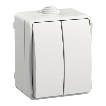 Выключатель двухклавишный EVS20-K01-10-54-DC ФОРС ВС20-2-0-ФБ белый IP54 IEK