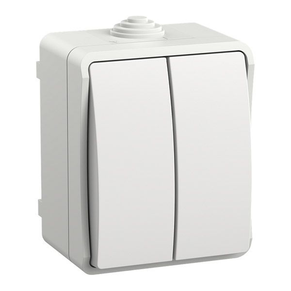 Выключатель двухклавишный EVS20-K01-10-54-DC ФОРС ВС20-2-0-ФБ белый IP54 IEK