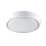 Накладной светильник  12W Белый холодный  Estares DLR- 12W 220V IP44 круглый белый
