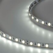 Светодиодная лента Белый 5050 24V 14.4W/m 60Led/метр 00-00006319 SWG560-24-14.4-W 6500K