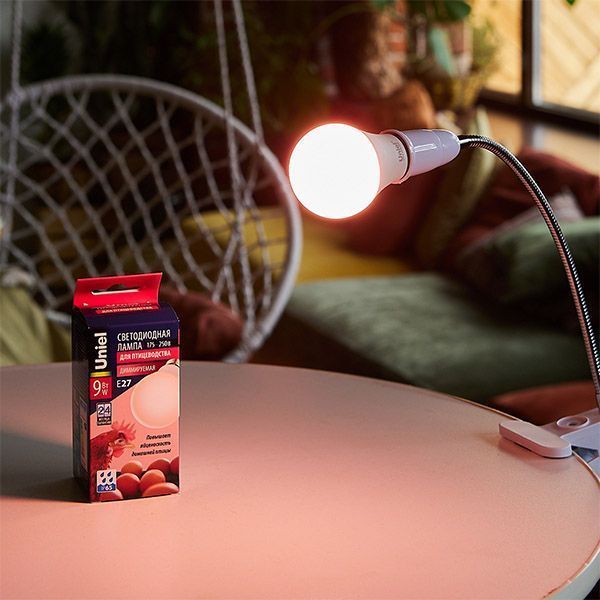 светодиодная лампа для птицеводства А60 9W UL-00003189 LED-A60-9W/SCEP/E27/FR/DIM IP65 PLO65WH диммируемая светодиодная лампа для птицеводства А60 9W UL-00003189 LED-A60-9W/SCEP/E27/FR/DIM IP65 PLO65WH диммируемая