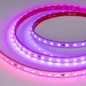 Светодиодная лента 24V 12W/m 039181  SPI-PS-B60-12mm (5060, 300 LED, 5m) герм. (PS - силиконовая экструзия)