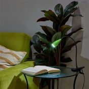 светильник настольный   4W UL-00010747 ULM-D501 4W-4000K GREEN на прищепке зеленый светильник настольный   4W UL-00010747 ULM-D501 4W-4000K GREEN на прищепке зеленый