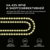 Светодиодная лента змейка Белый теплый 2835 24V  8W/m 60Led/метр 00-349 Стандарт 6мм Светодиодная лента змейка Белый теплый 2835 24V  8W/m 60Led/метр 00-349 Стандарт 6мм