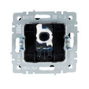 Розетка встраиваемая компьютерная IEK BRITE BR-K10-2-K53 РК11-БрГ RJ45 кат.6 графит