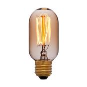 лампа ретро накаливания Vintage форма цилиндр 60W 053-877 T30 185  F4 CLEAR/E27 диммируемая