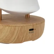 светильник-ночник Белый теплый &quot;Тукан&quot; / Bluetooth колонка / 503-059  DTL-315 2.7W