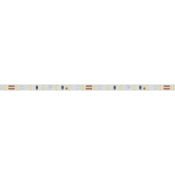 Светодиодная лента Белый дневной 2216 24V  9.6W/m 120Led/метр 024413(2)  MICROLED-M120 4000K -4мм LUX