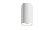 Накладной светильник Lightstar без лампы CL001-W ROLLER GU10 цилиндр белый