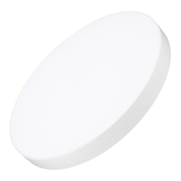 Накладной светильник  60W Белый теплый 034823 SP-RONDO-R600-60W 220V  круглый белый