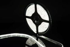 Светодиодная лента Белый 3528 12V  9.6W/m 120Led/метр герм (силикон) 00-00009698 SWG3120-12-9.6-W-65-M