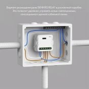 Реле-выключатель DENKIRS RL1001-SM 250W одноканальное Wi-Fi