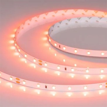 Светодиодная лента Морковный 2835 24V  4.8W/m 60Led/метр 055375 RT-A60-8mm