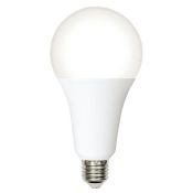 светодиодная лампа шар  A80 Белый 30W UL-00008781 LED-A80-30W/6500K/E27/FR/SLS