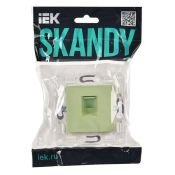 Розетка встраиваемая компьютерная IEK SKANDY SK-K10-2-K06 SK-K02G RJ45 кат.6 мятный