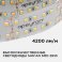 Светодиодная лента Белый 2835 24V 42W/m 240Led/метр 00-307 PRO 30мм IP20 Светодиодная лента Белый 2835 24V 42W/m 240Led/метр 00-307 PRO 30мм IP20
