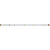 Светодиодная лента Белый холодный 2835/3528 24V 2.9W/m 30Led/метр 019916(1) RT 2-5000 0.5X  LUX